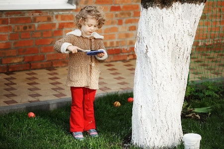 Mädchen streicht einen Baum mit Kalkfarbe