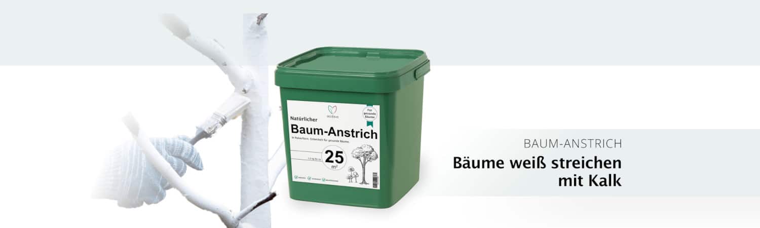 Baumanstrich 1